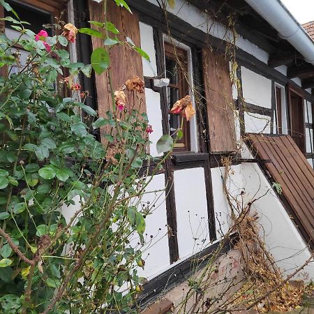 Petite Maison Alsacienne Entzheim Luaran gambar