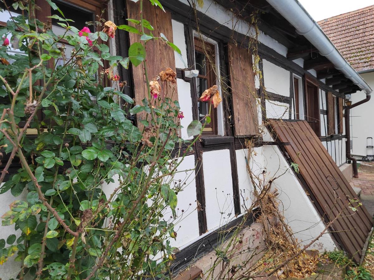 Petite Maison Alsacienne Entzheim Luaran gambar